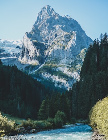 a river and a forest in front of a snowy mountain peak